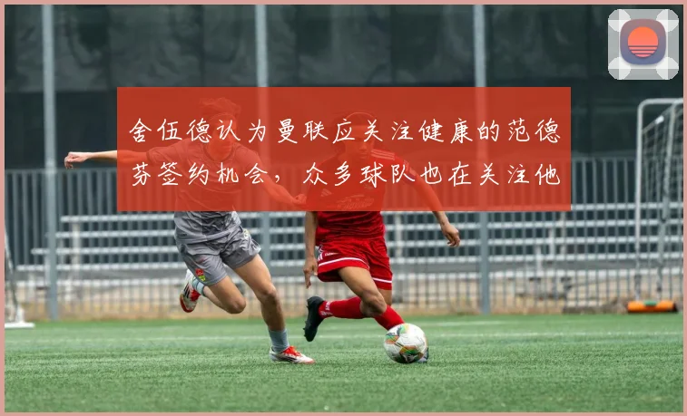 舍伍德认为曼联应关注健康的范德芬签约机会，众多球队也在关注他
