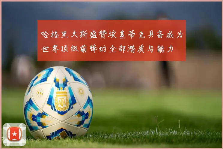 哈格里夫斯盛赞埃基蒂克具备成为世界顶级前锋的全部潜质与能力