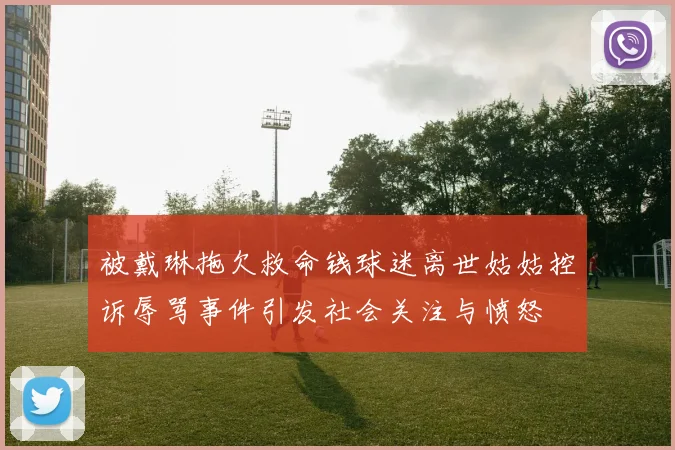 被戴琳拖欠救命钱球迷离世姑姑控诉辱骂事件引发社会关注与愤怒